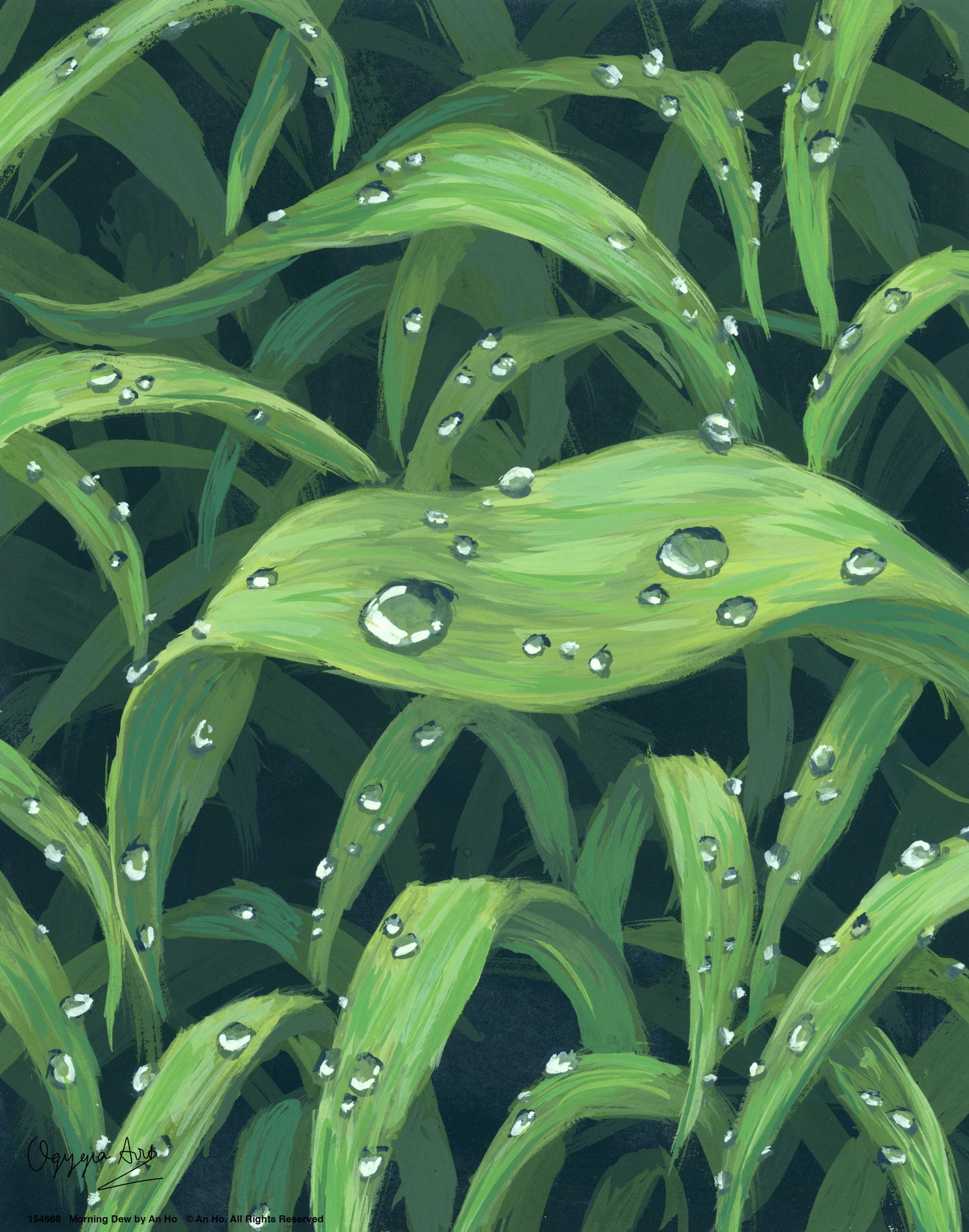 Morning Dew - Art Prints