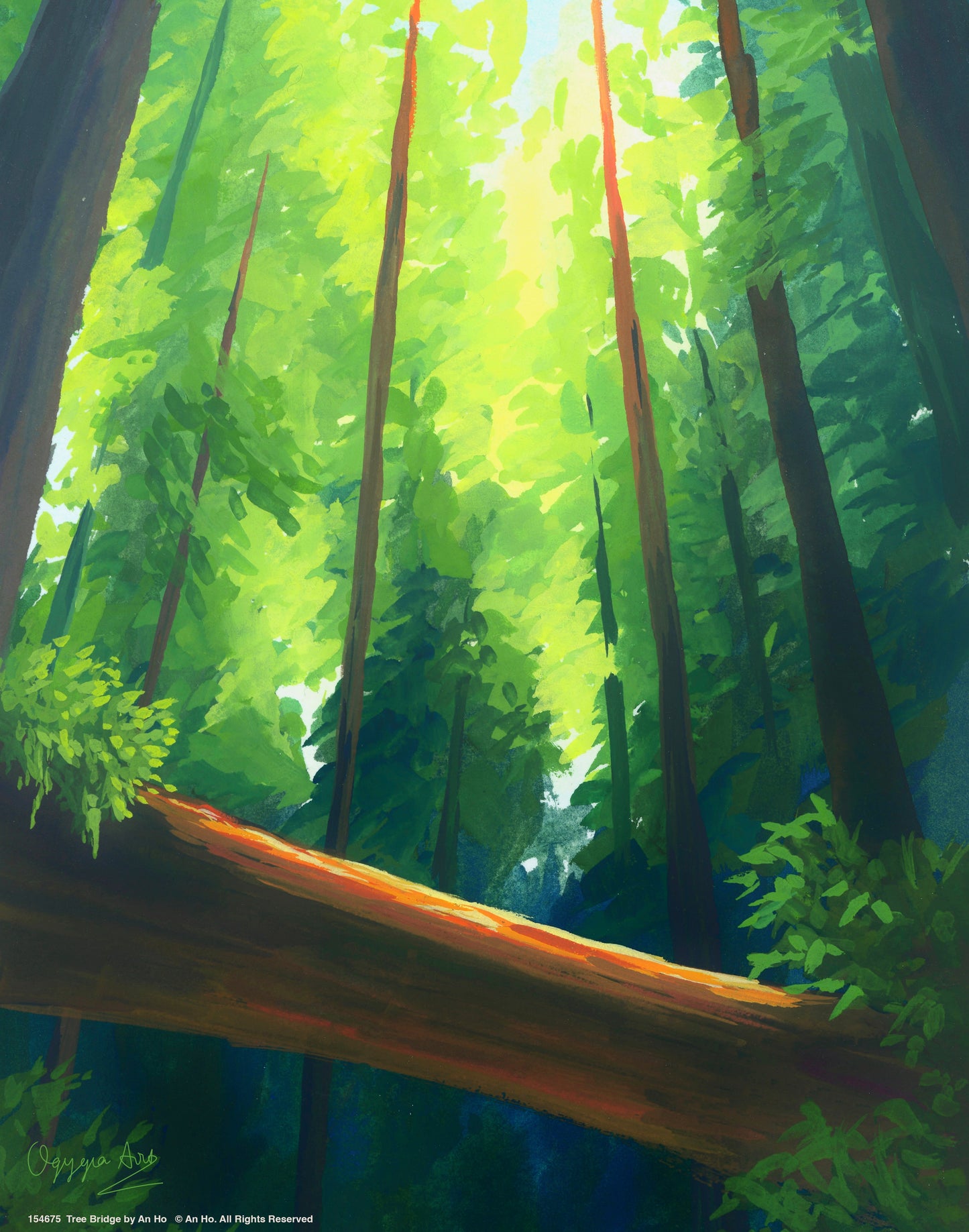 Tree Bridge - Art Prints