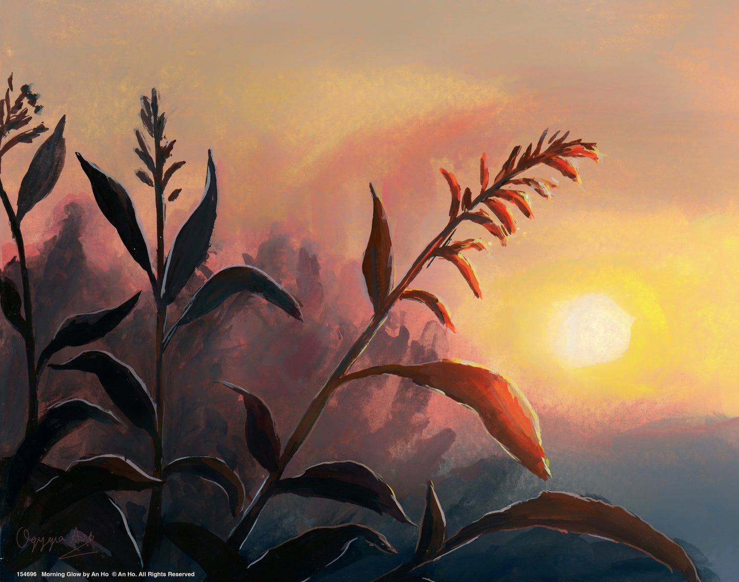 Morning Glow - Art Prints