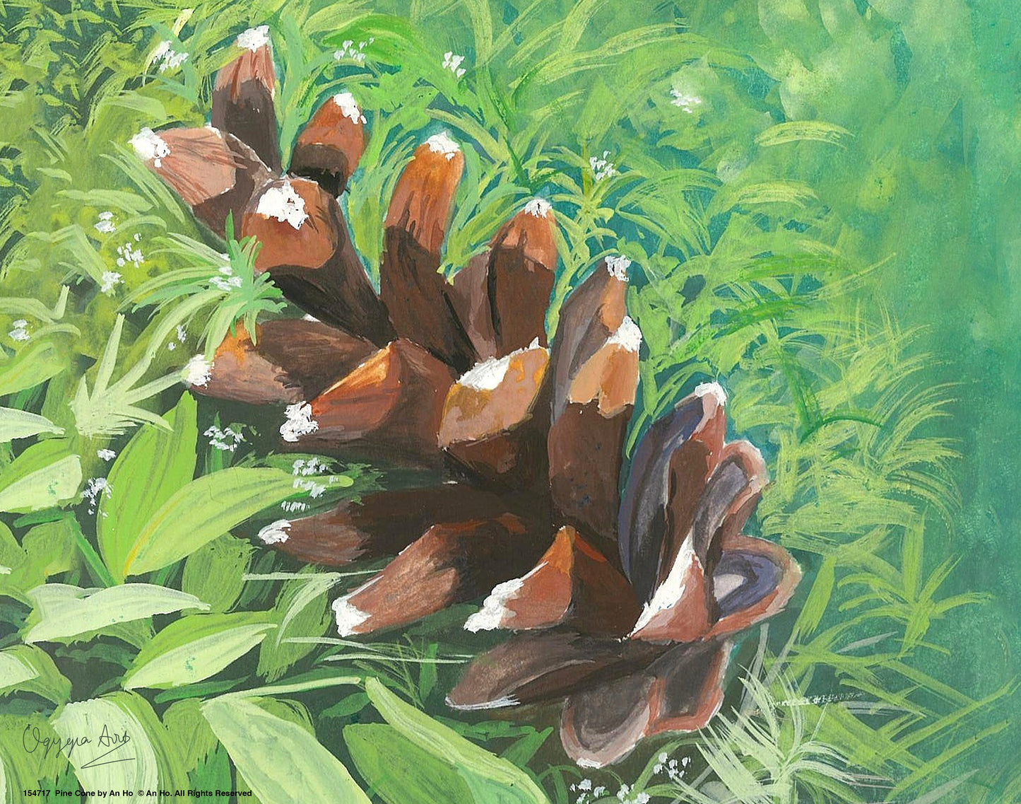 Pine Cone - Art Prints