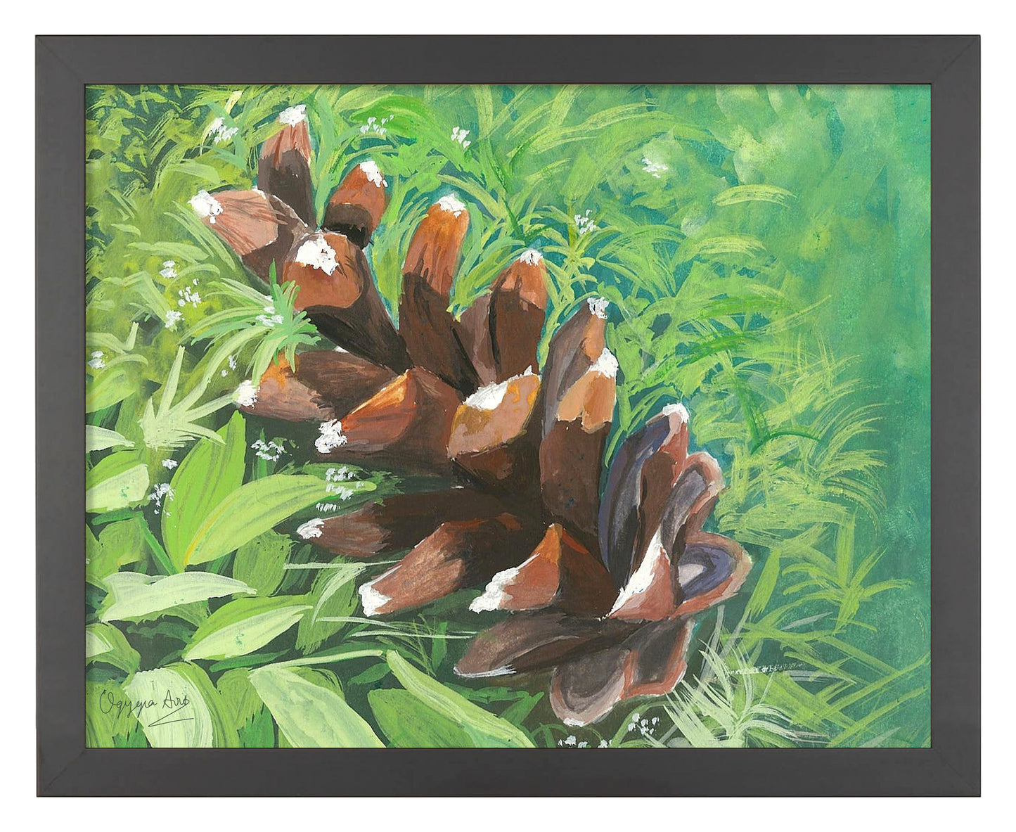 Pine Cone - Art Prints