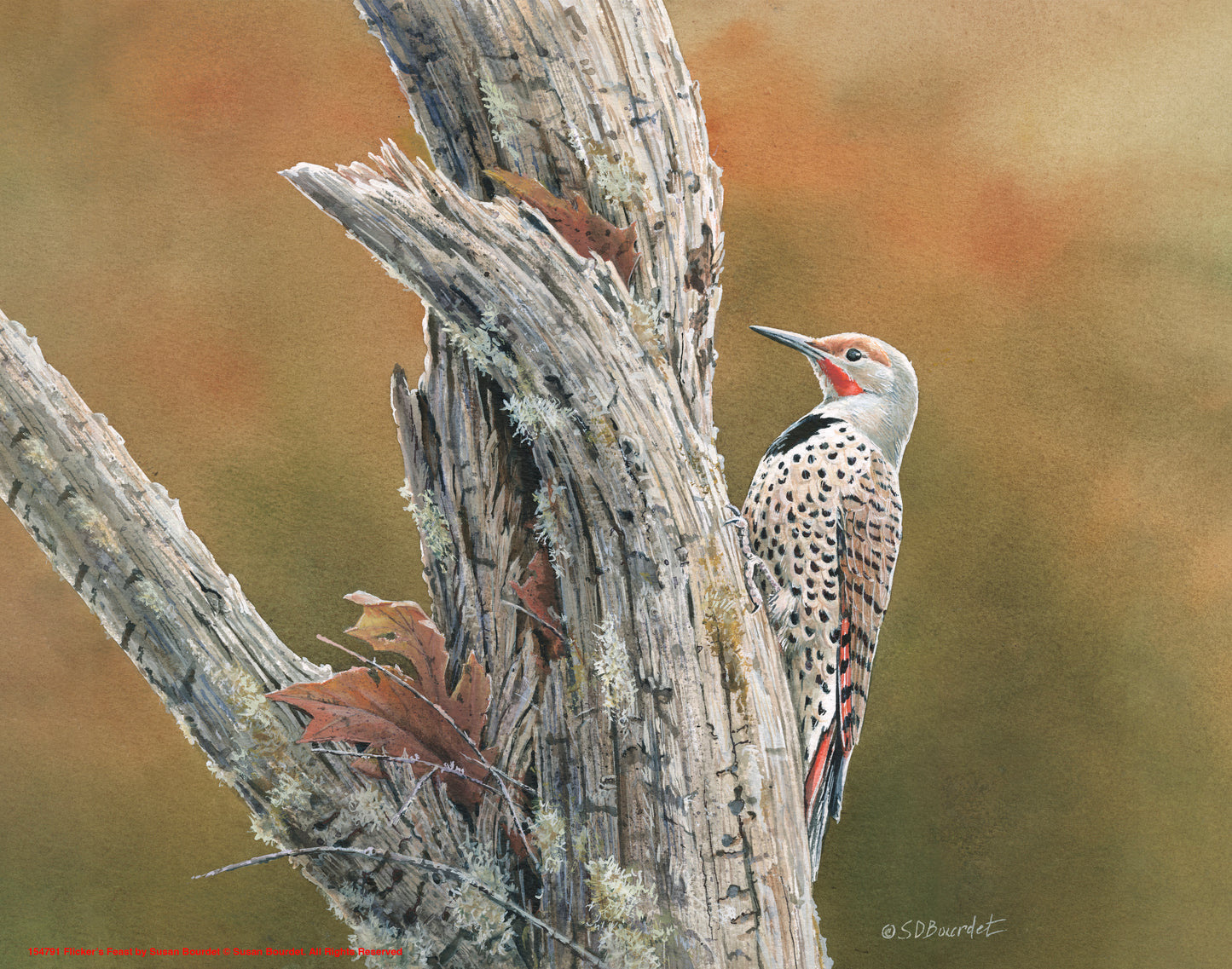 Flicker's Feast - Art Prints