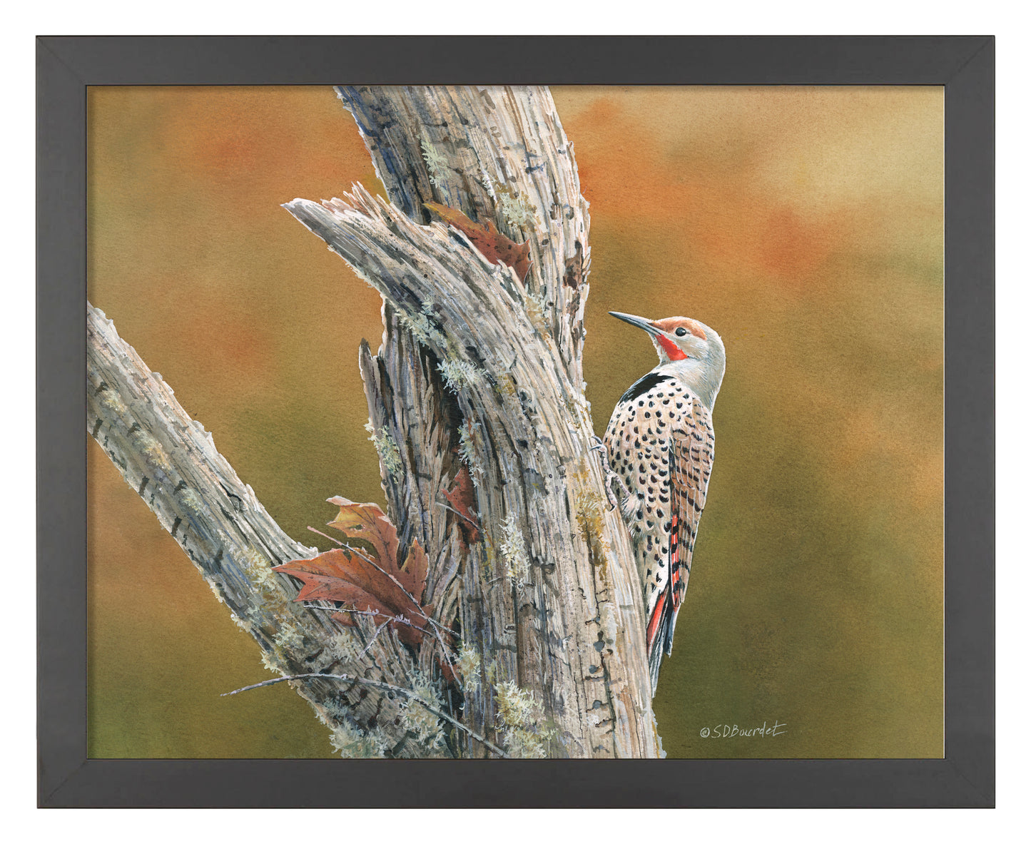 Flicker's Feast - Art Prints