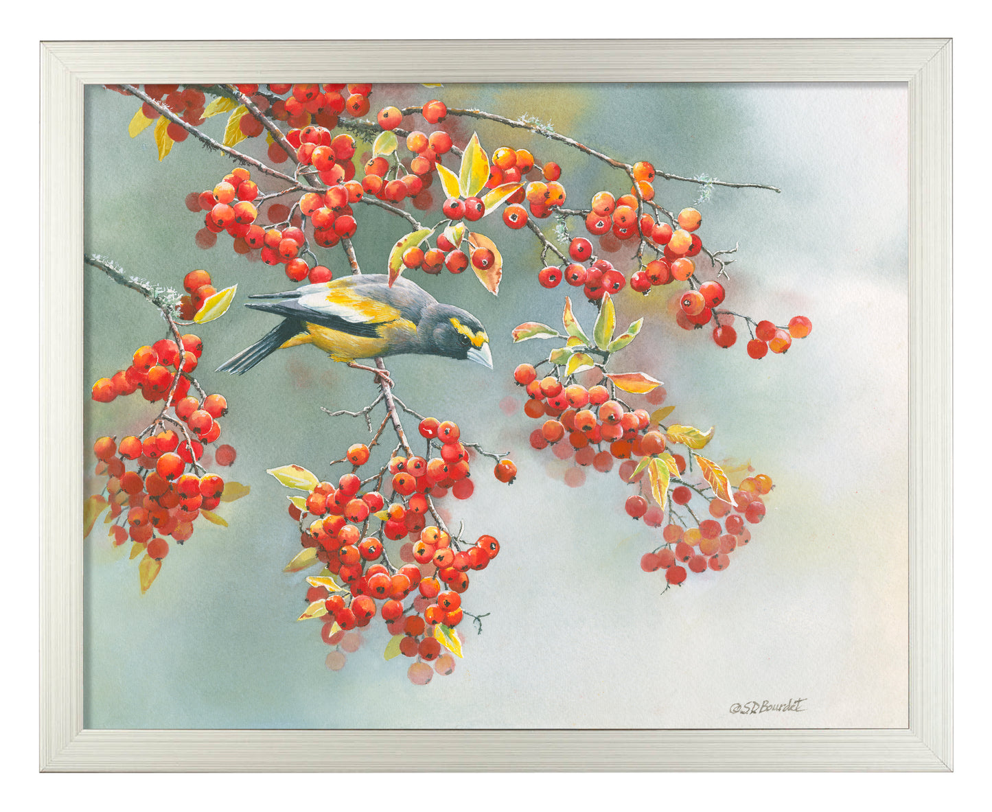 Autumn Delights - Art Prints
