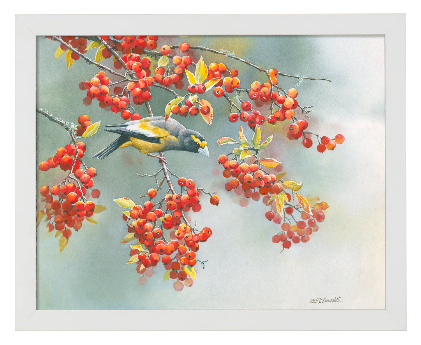 Autumn Delights - Art Prints