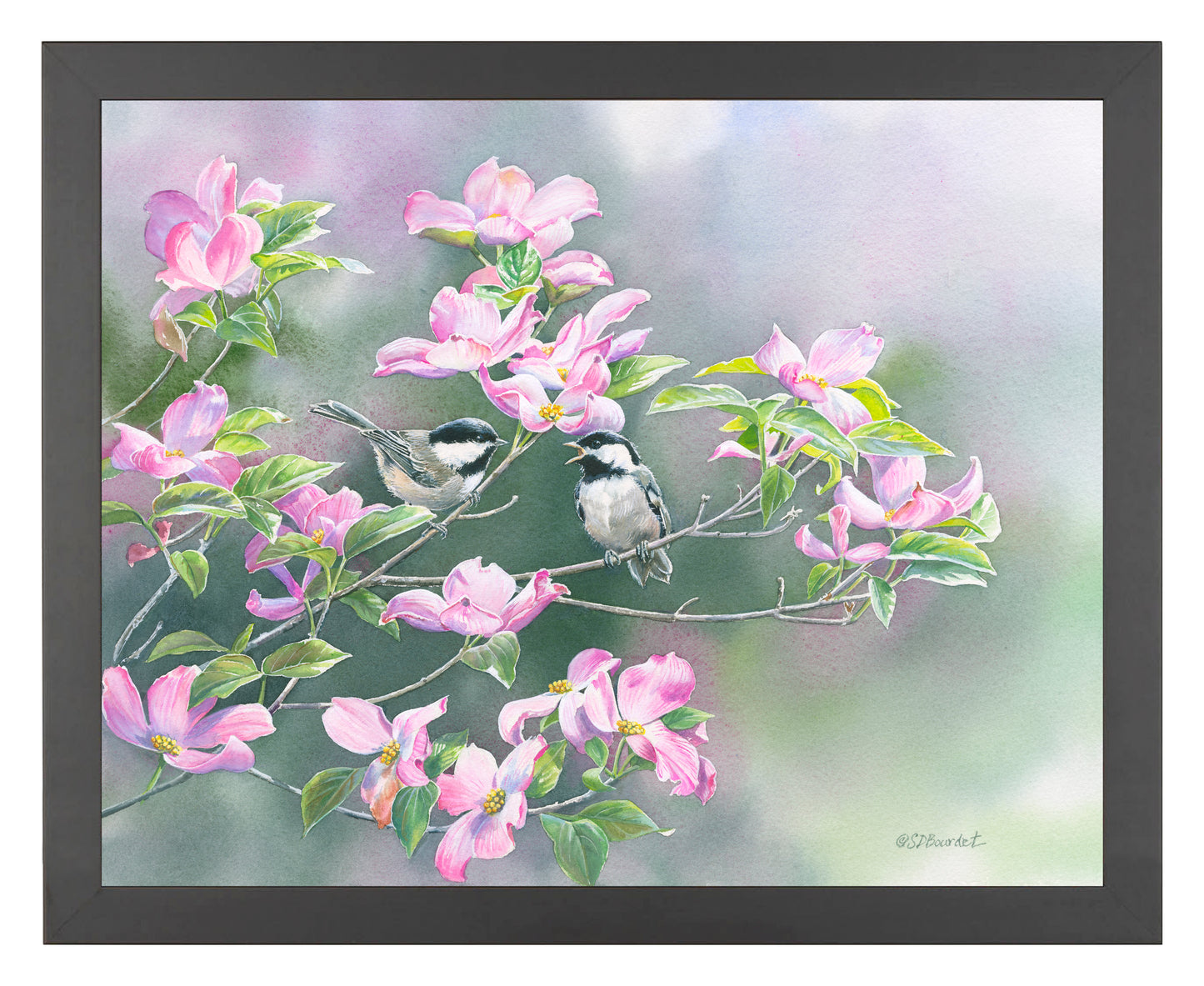 Chickadees in Dogwood - Art Prints