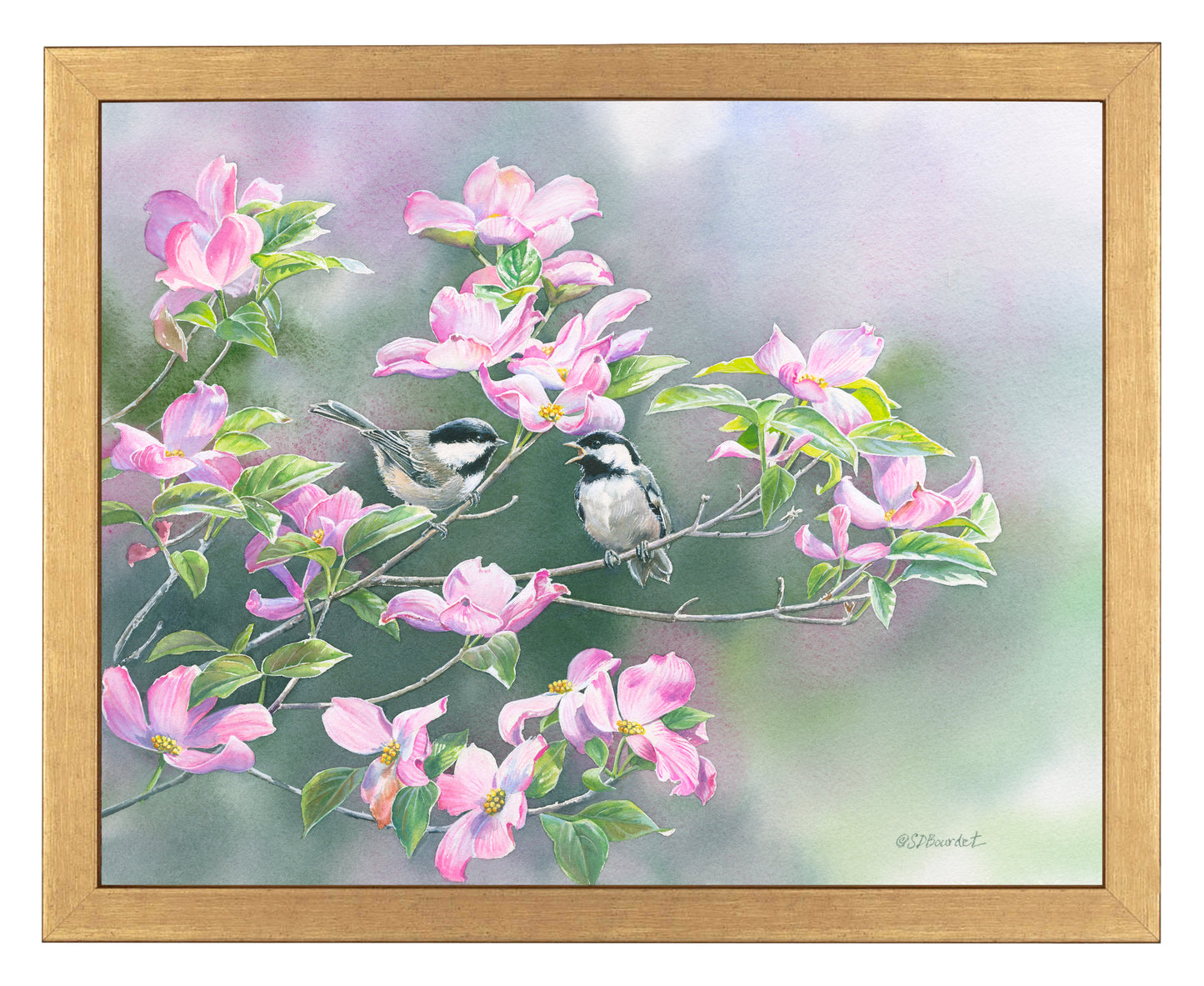 Chickadees in Dogwood - Art Prints