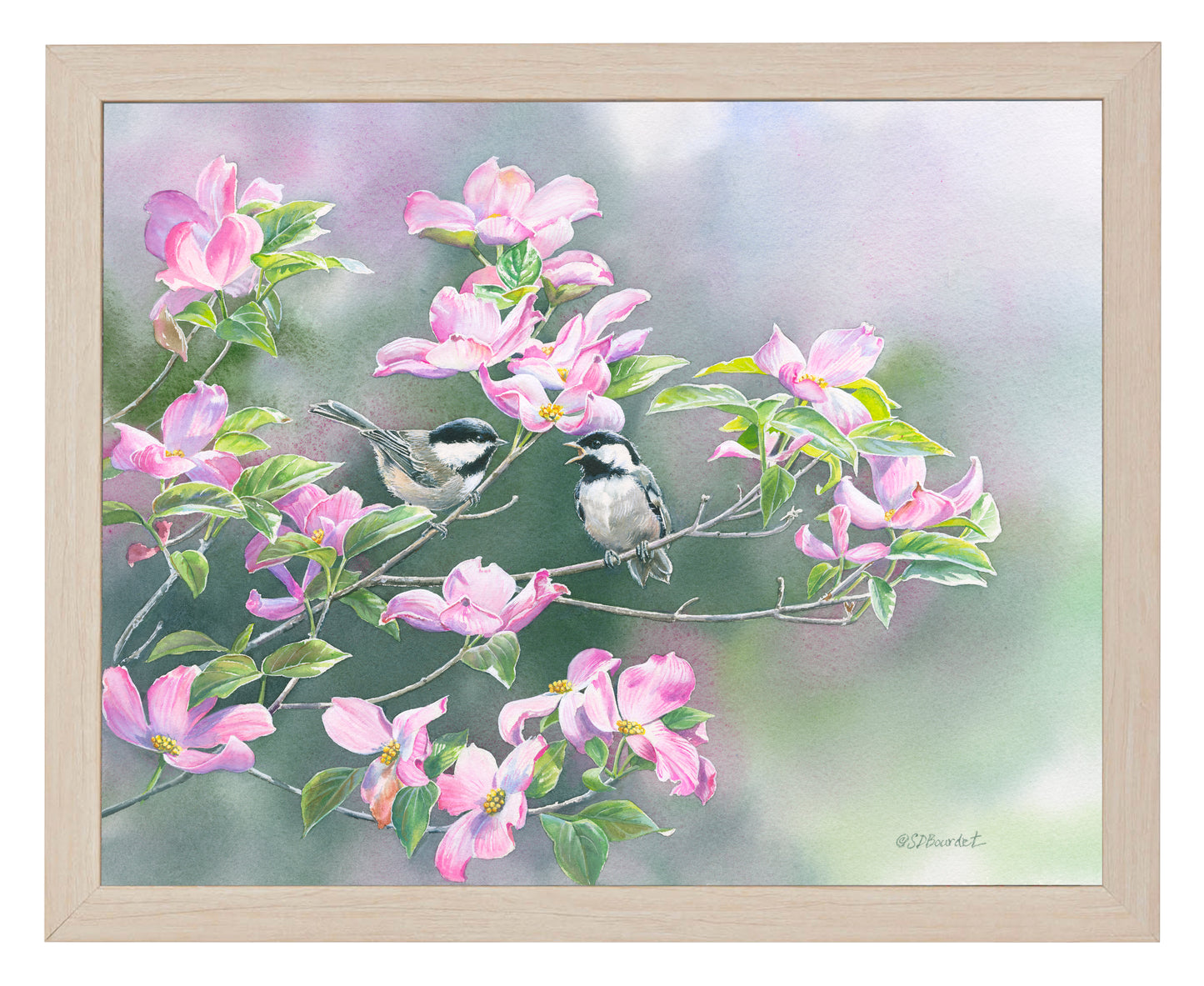 Chickadees in Dogwood - Art Prints