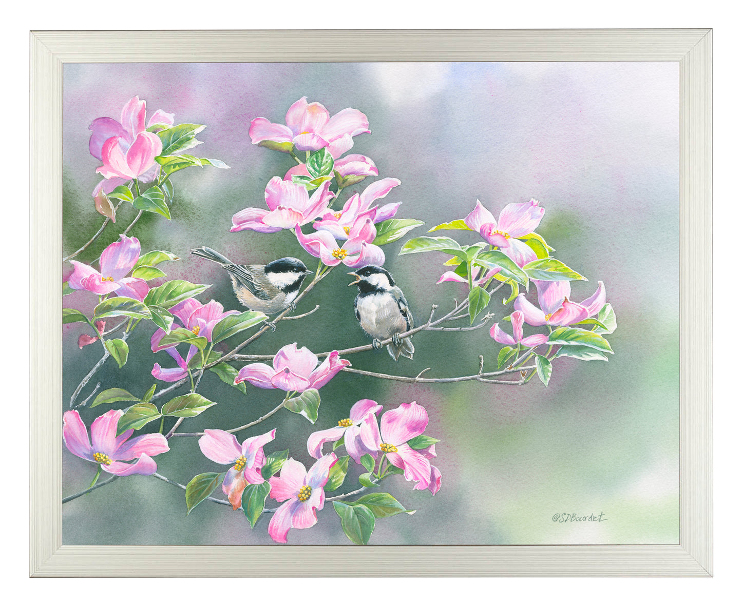 Chickadees in Dogwood - Art Prints