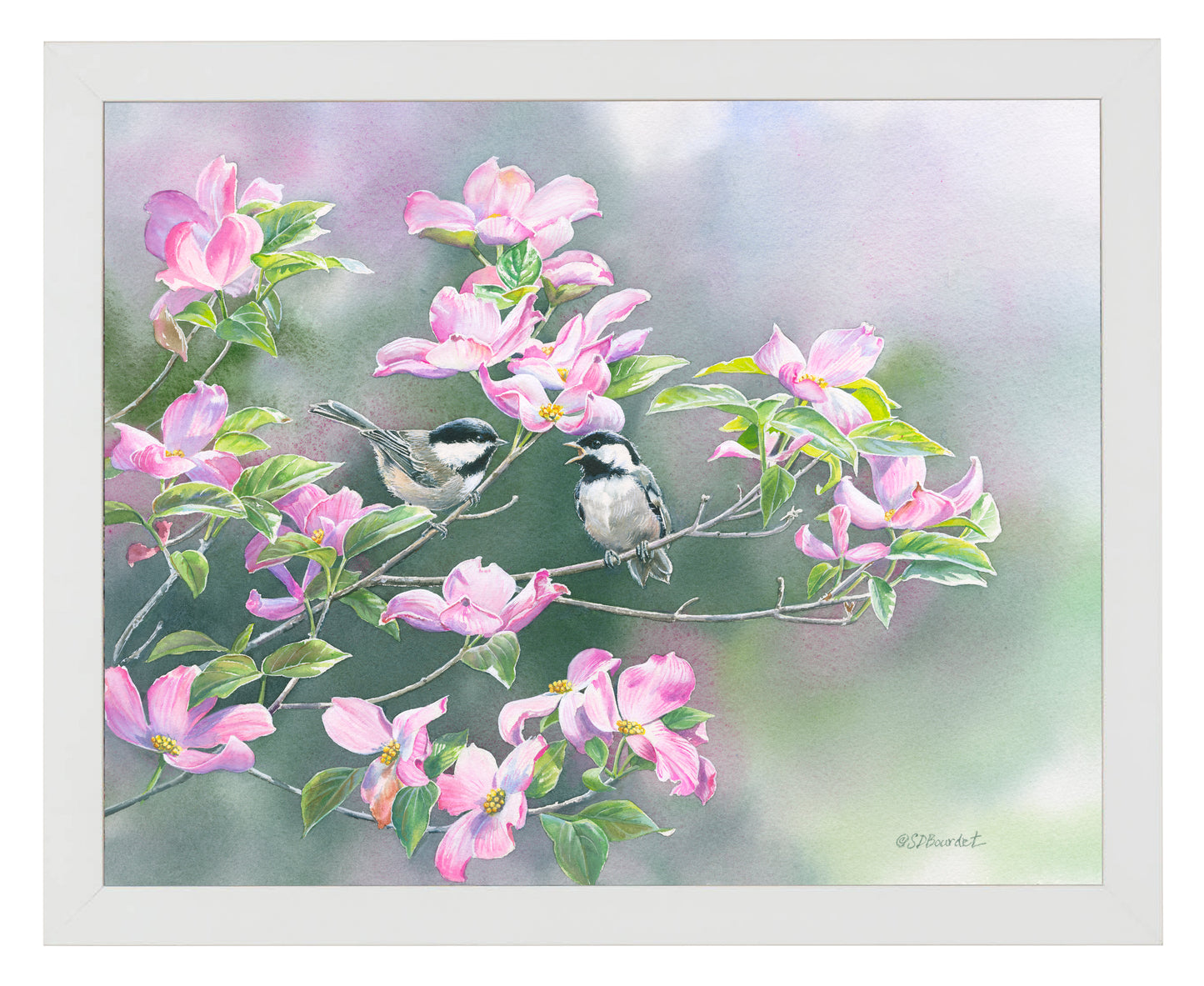 Chickadees in Dogwood - Art Prints