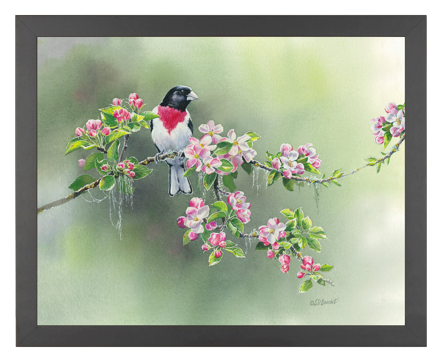 Woodland Spring - Art Prints