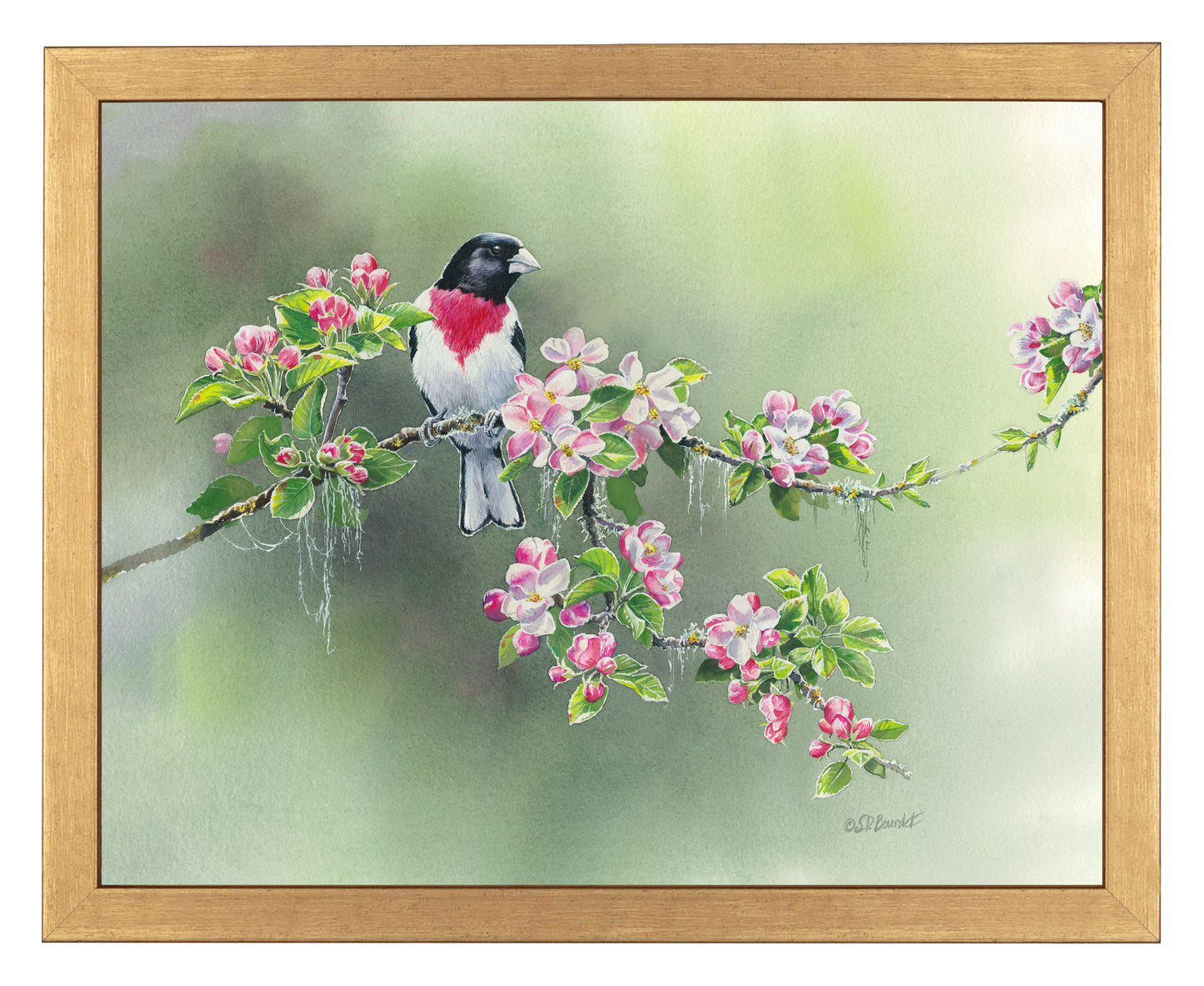 Woodland Spring - Art Prints