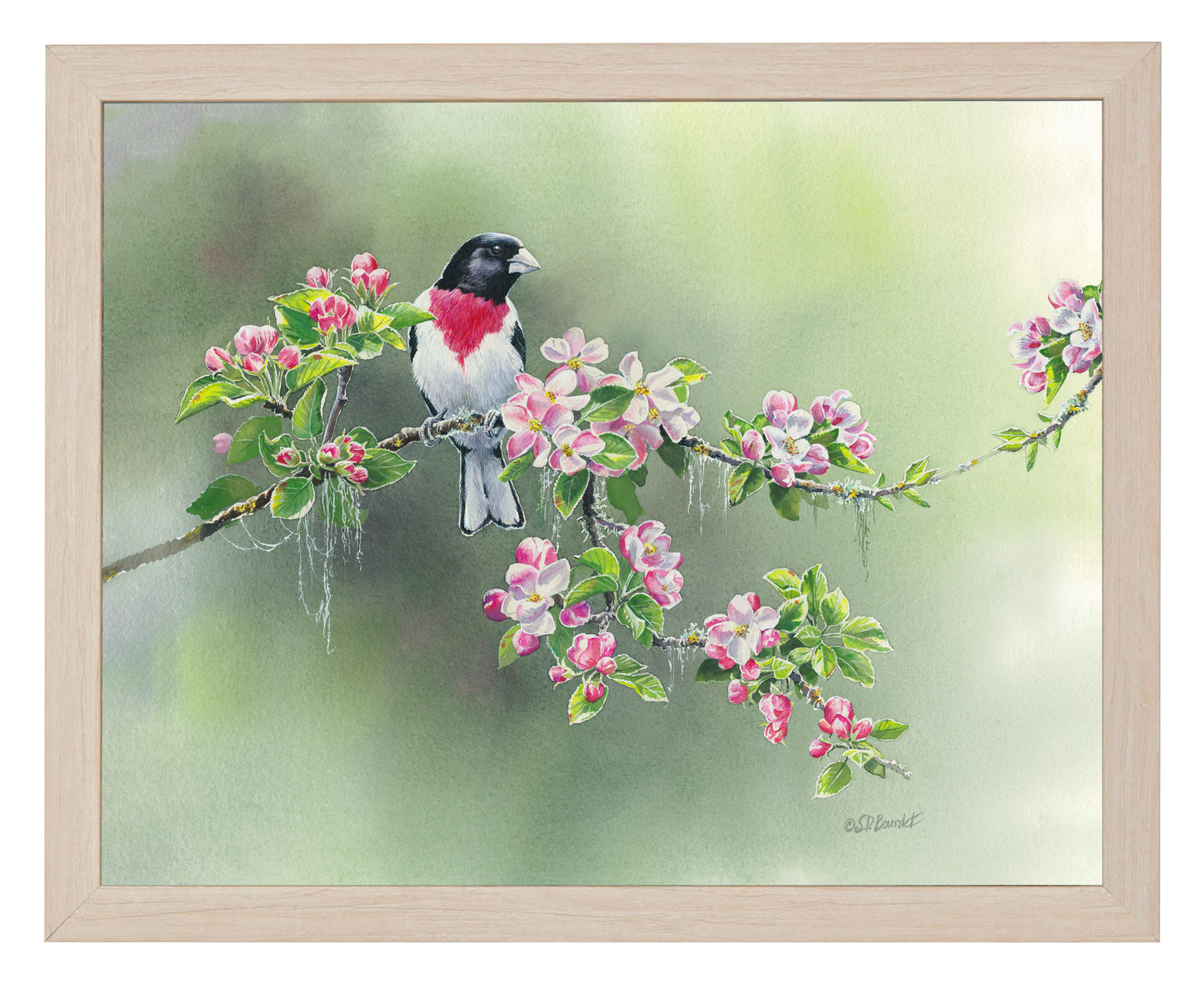 Woodland Spring - Art Prints