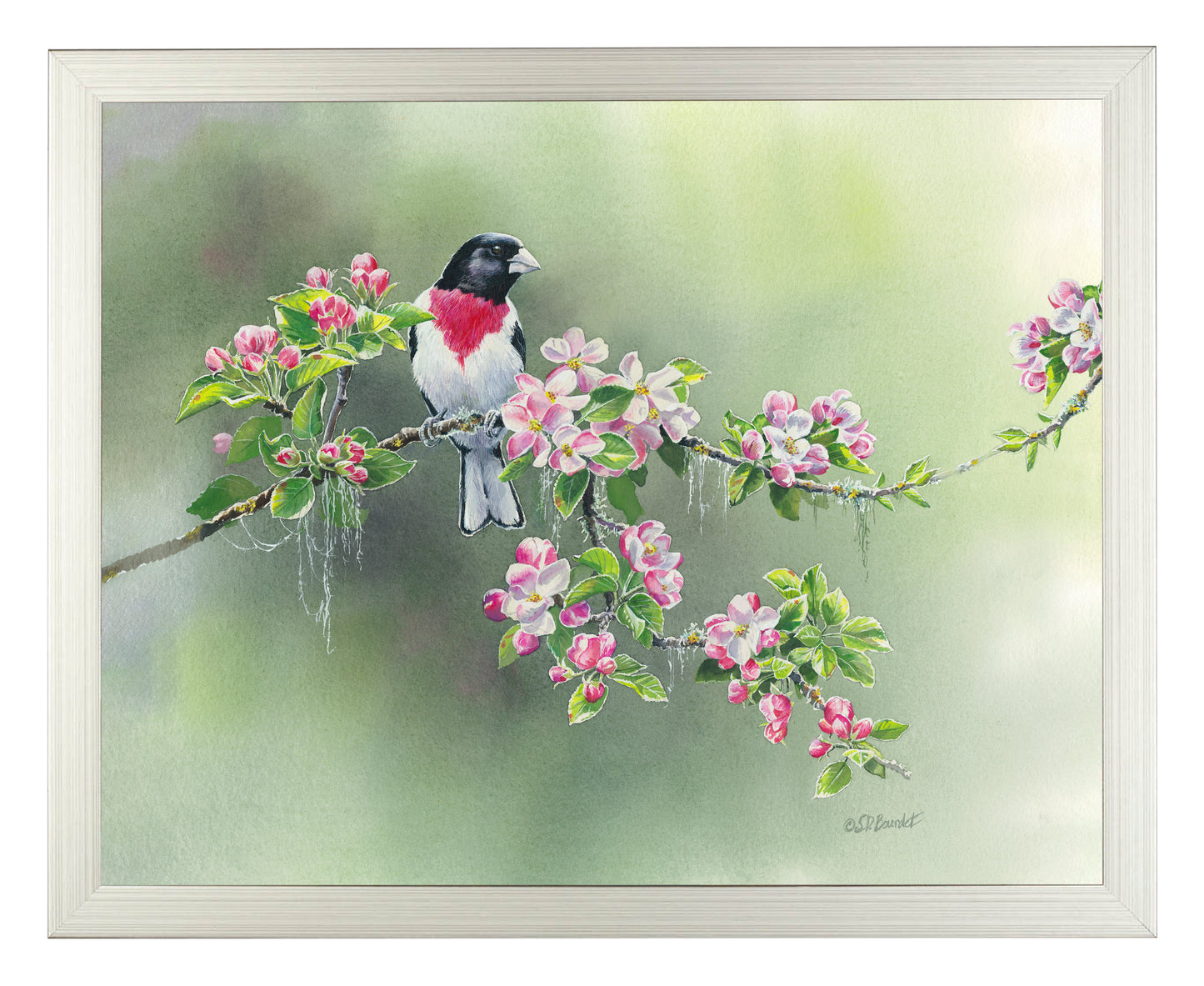 Woodland Spring - Art Prints