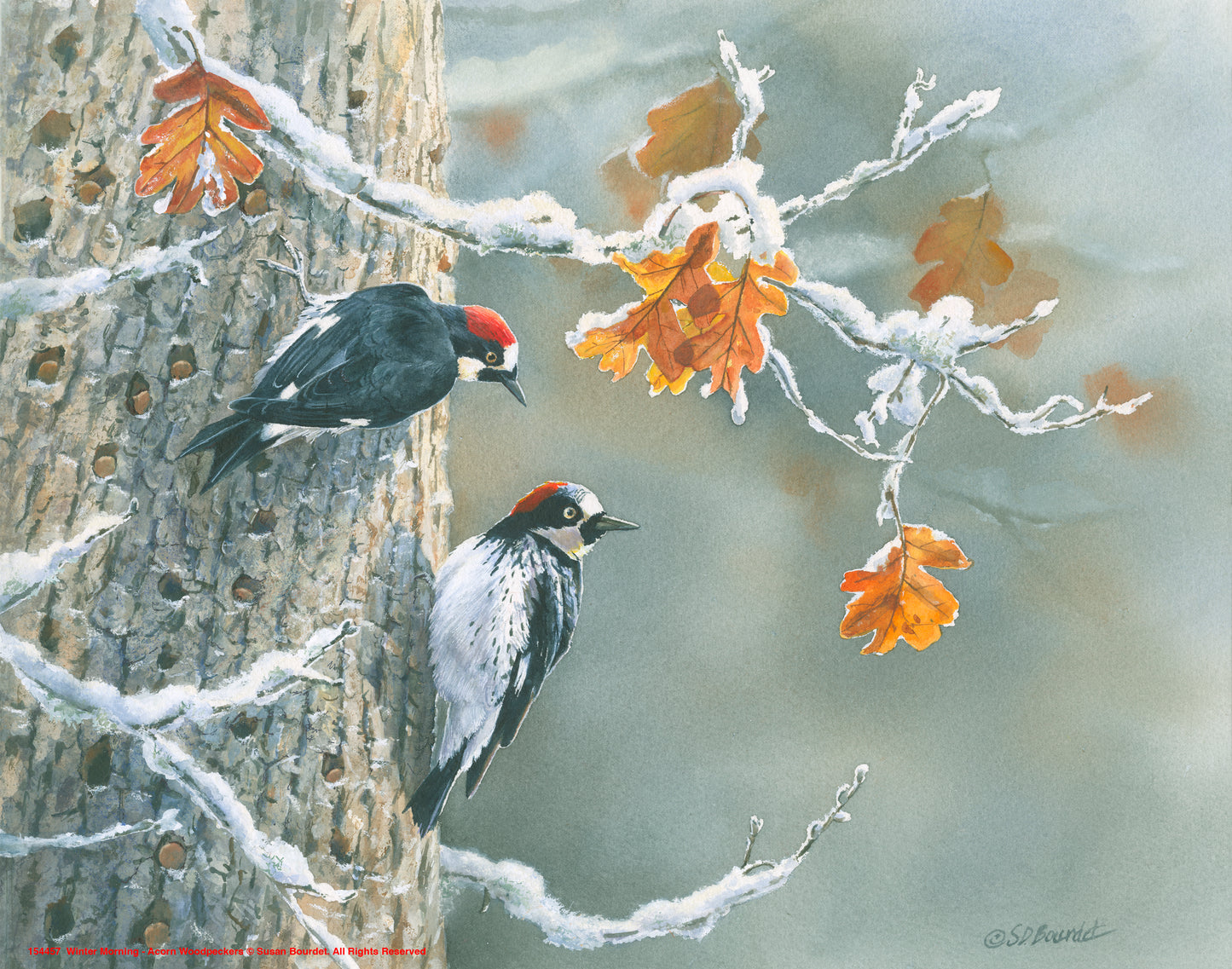 Winter Morning - Art Prints