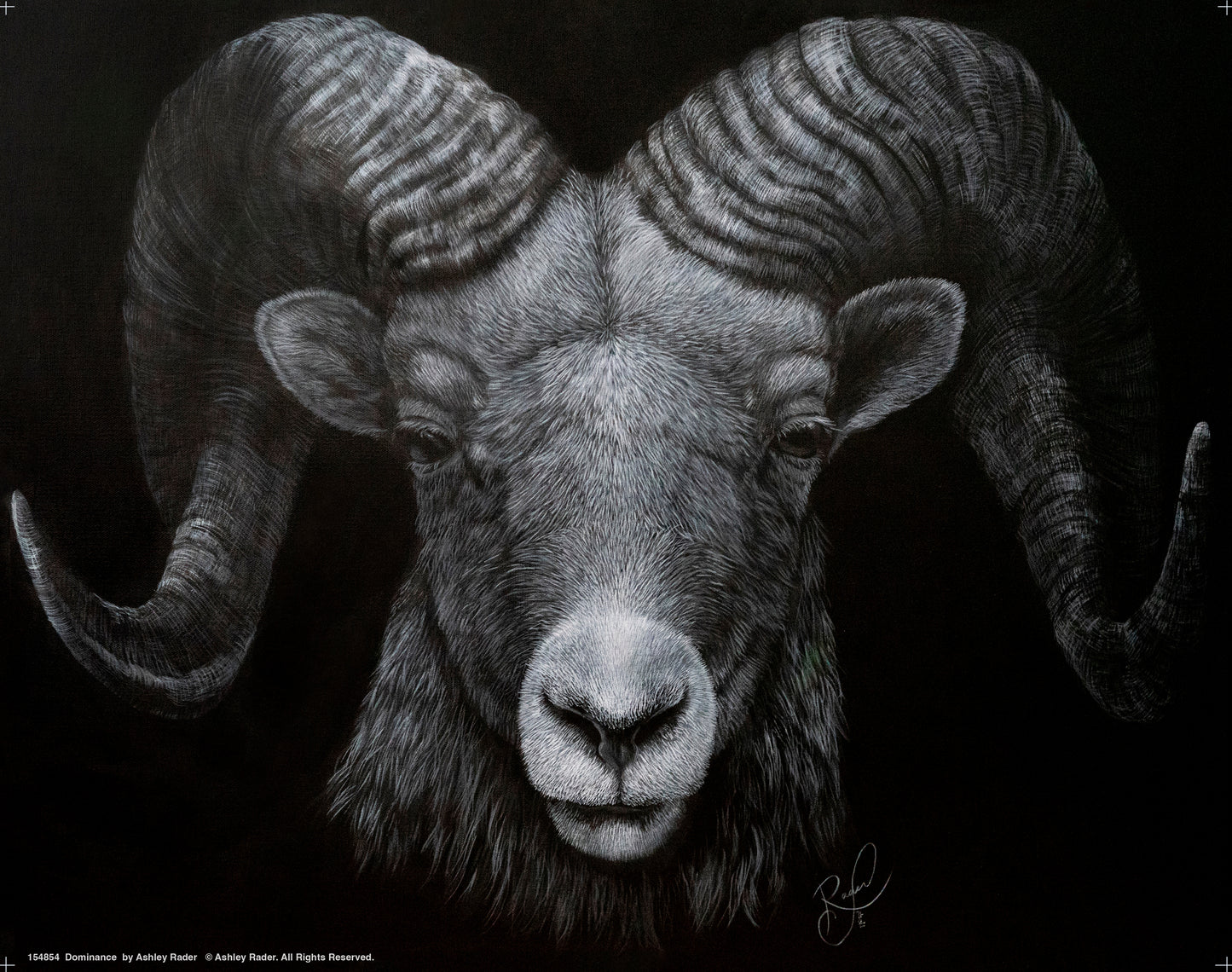 Dominance - Art Prints