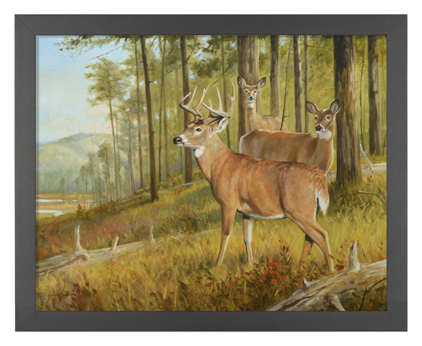 Southern Pines - Art Prints