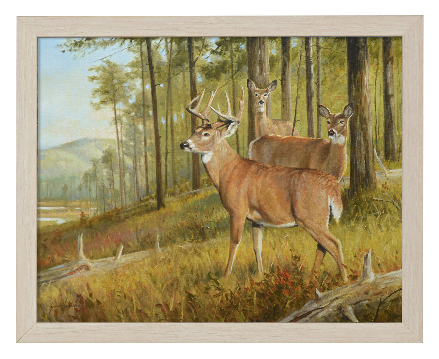 Southern Pines - Art Prints