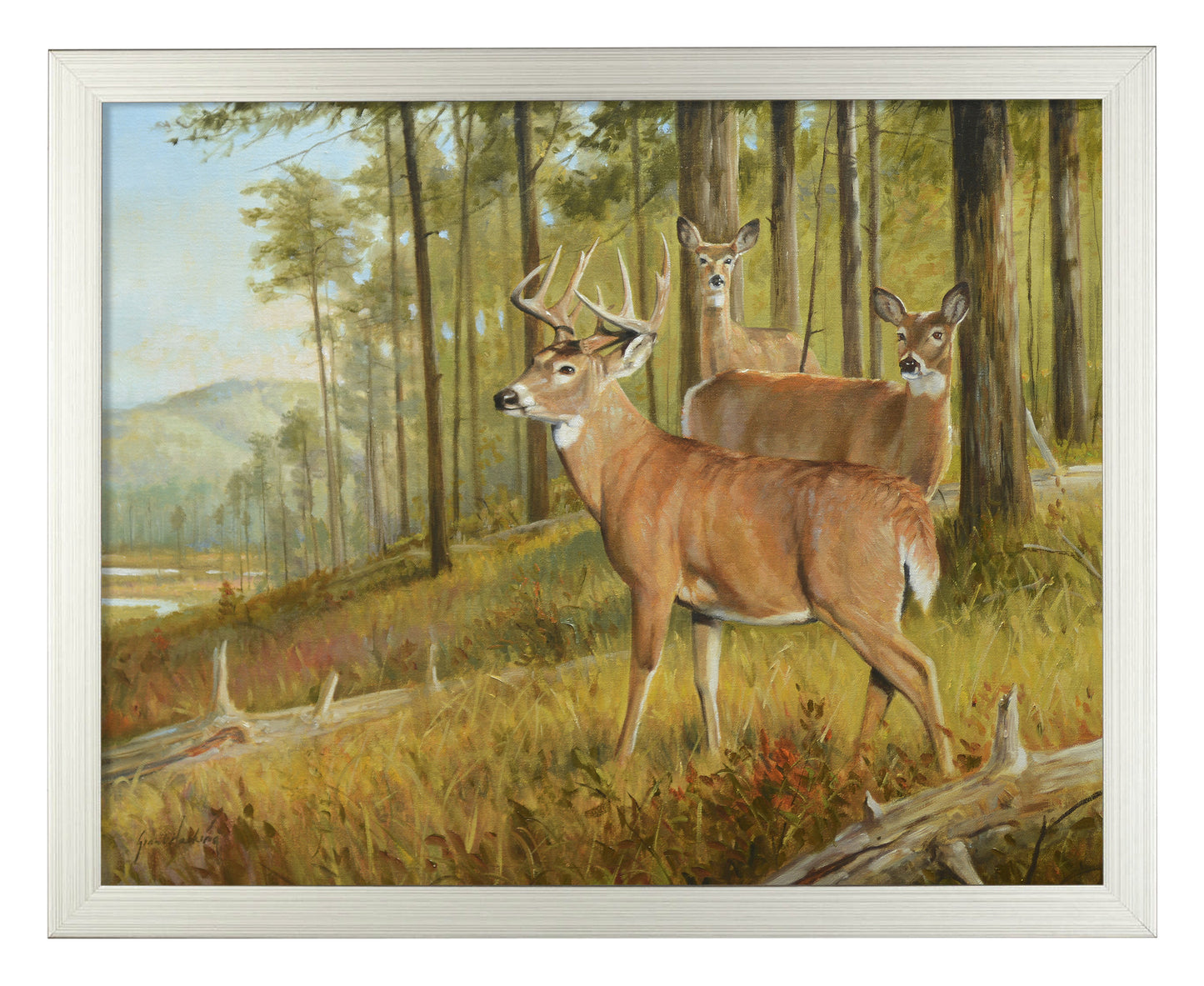 Southern Pines - Art Prints