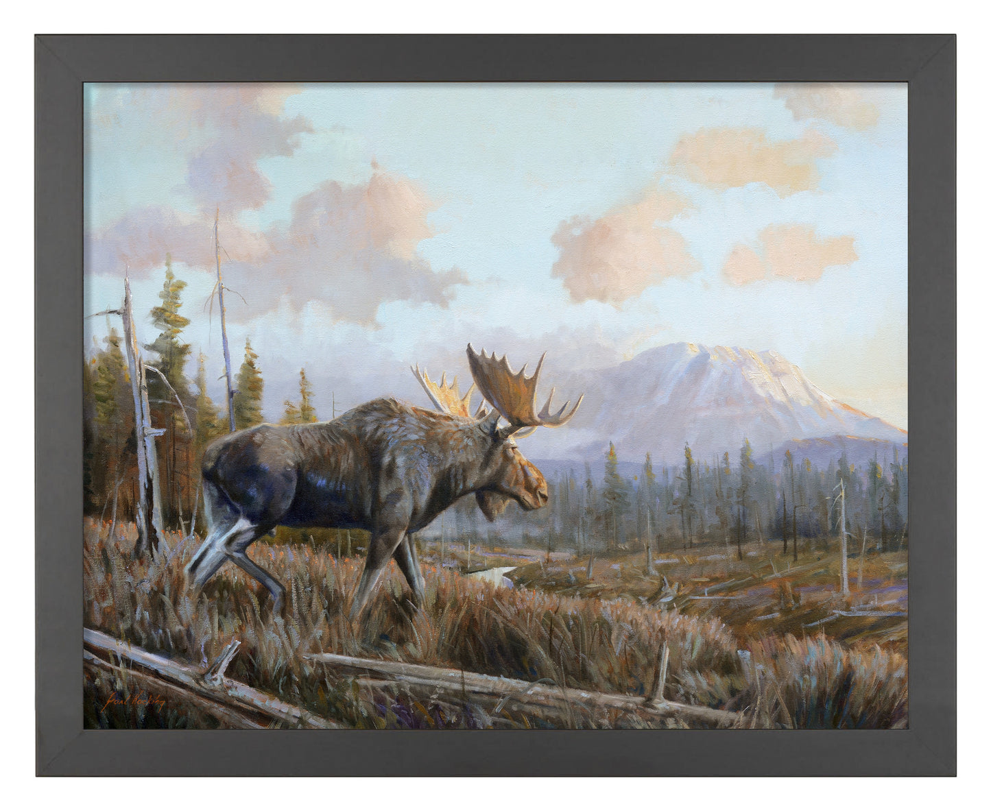 Sunlit Antler - Art Prints
