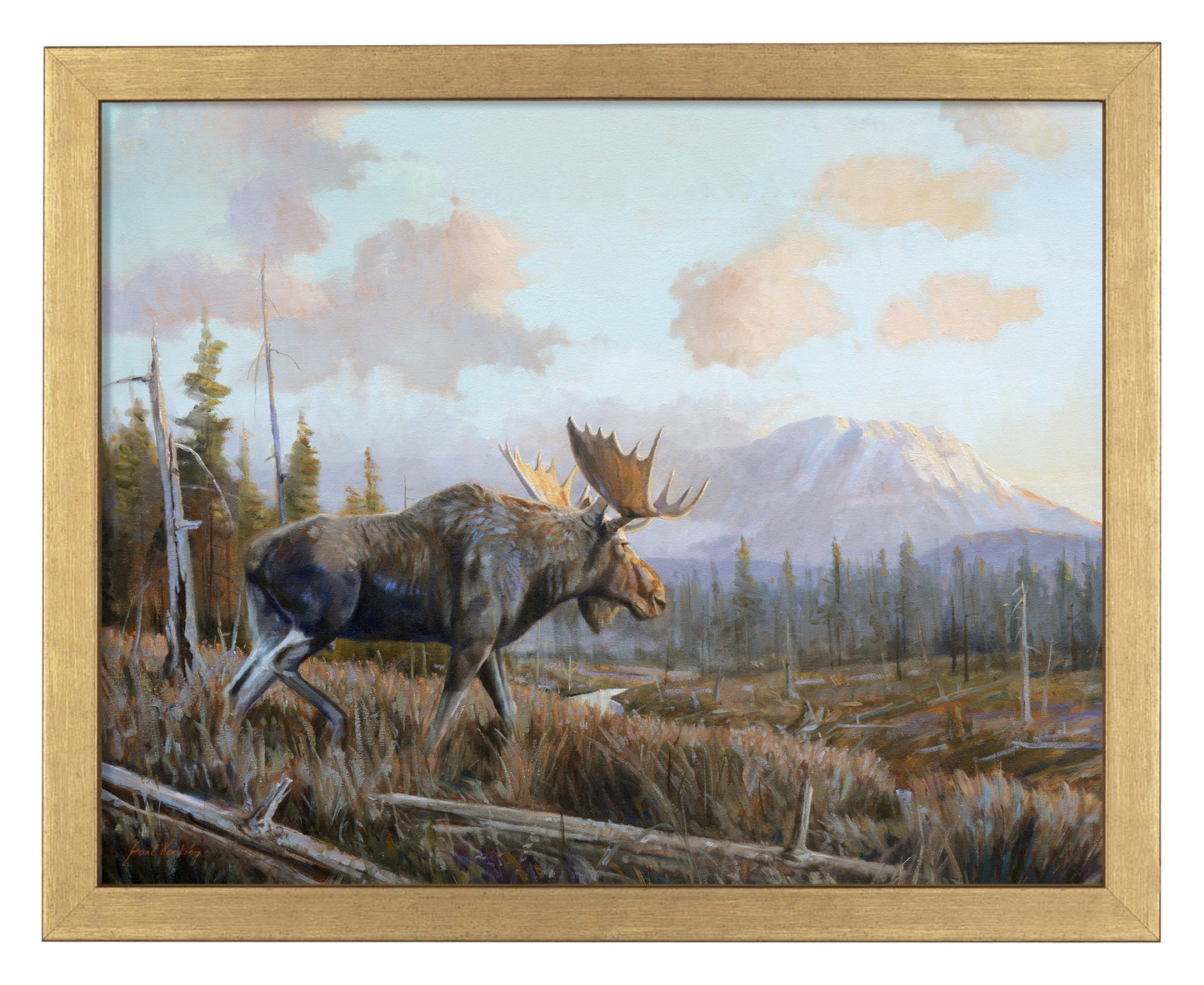 Sunlit Antler - Art Prints