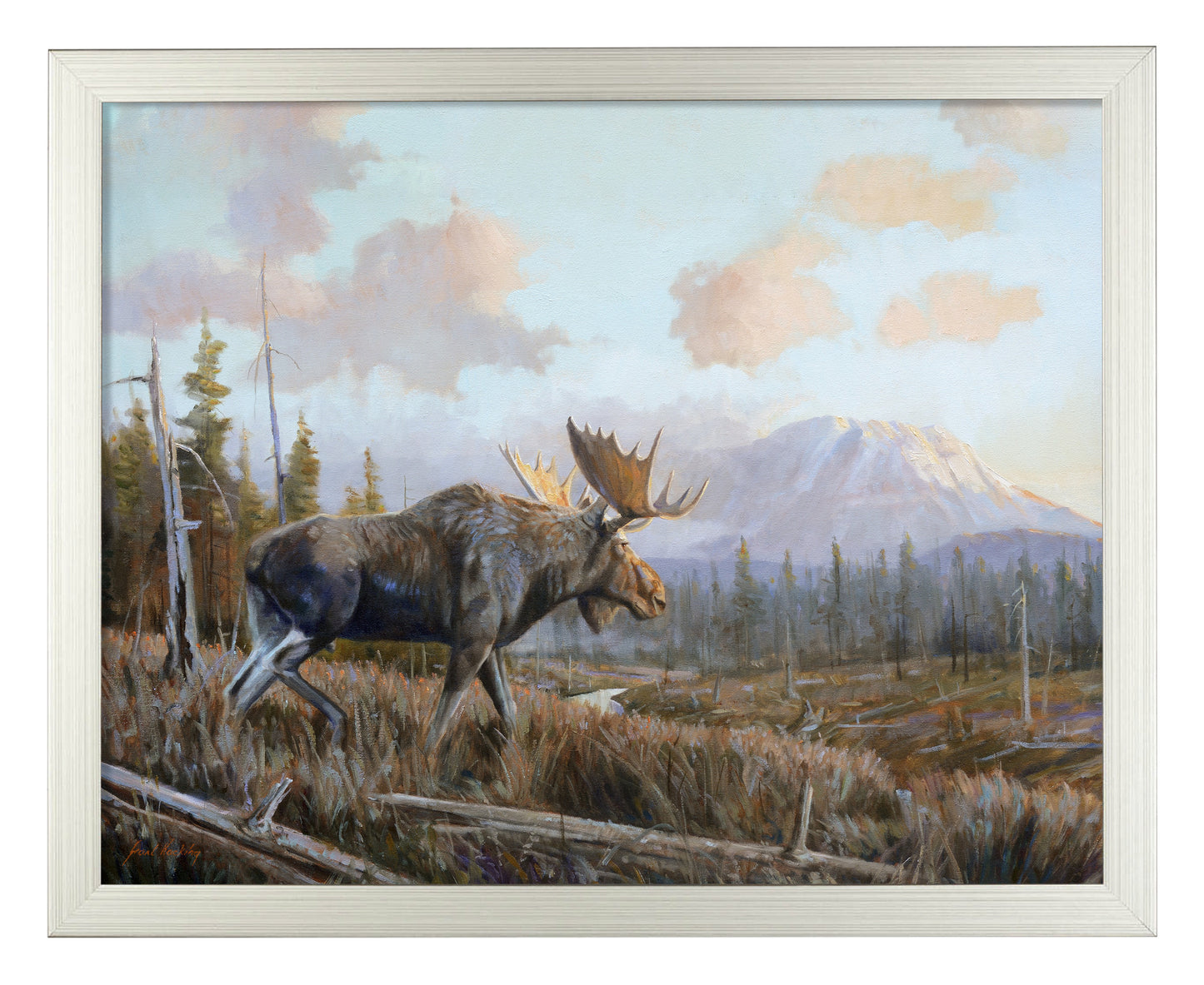 Sunlit Antler - Art Prints