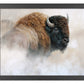 Tatanka - Art Prints