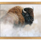Tatanka - Art Prints