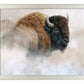 Tatanka - Art Prints