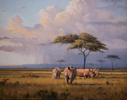 The Plains of Africa - Art Prints