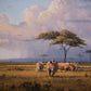 The Plains of Africa - Art Prints