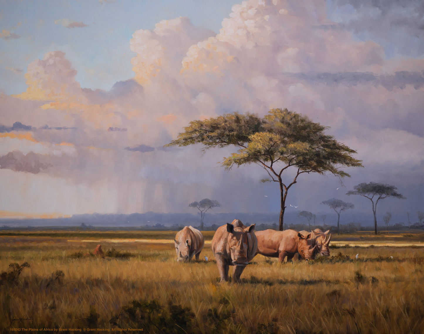 The Plains of Africa - Art Prints
