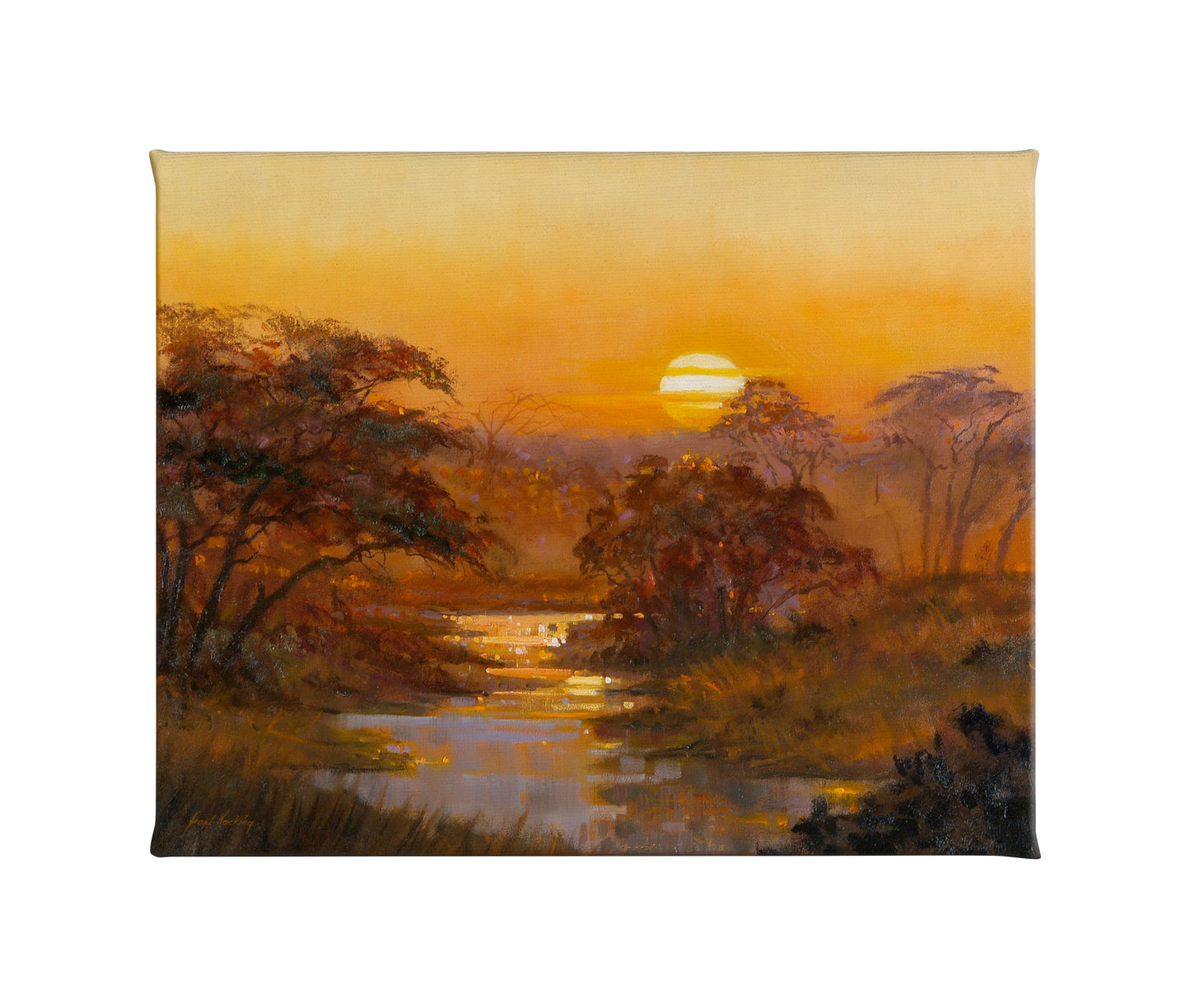 Setting Sun - 16" x 20.5" Gallery Wrapped Canvas