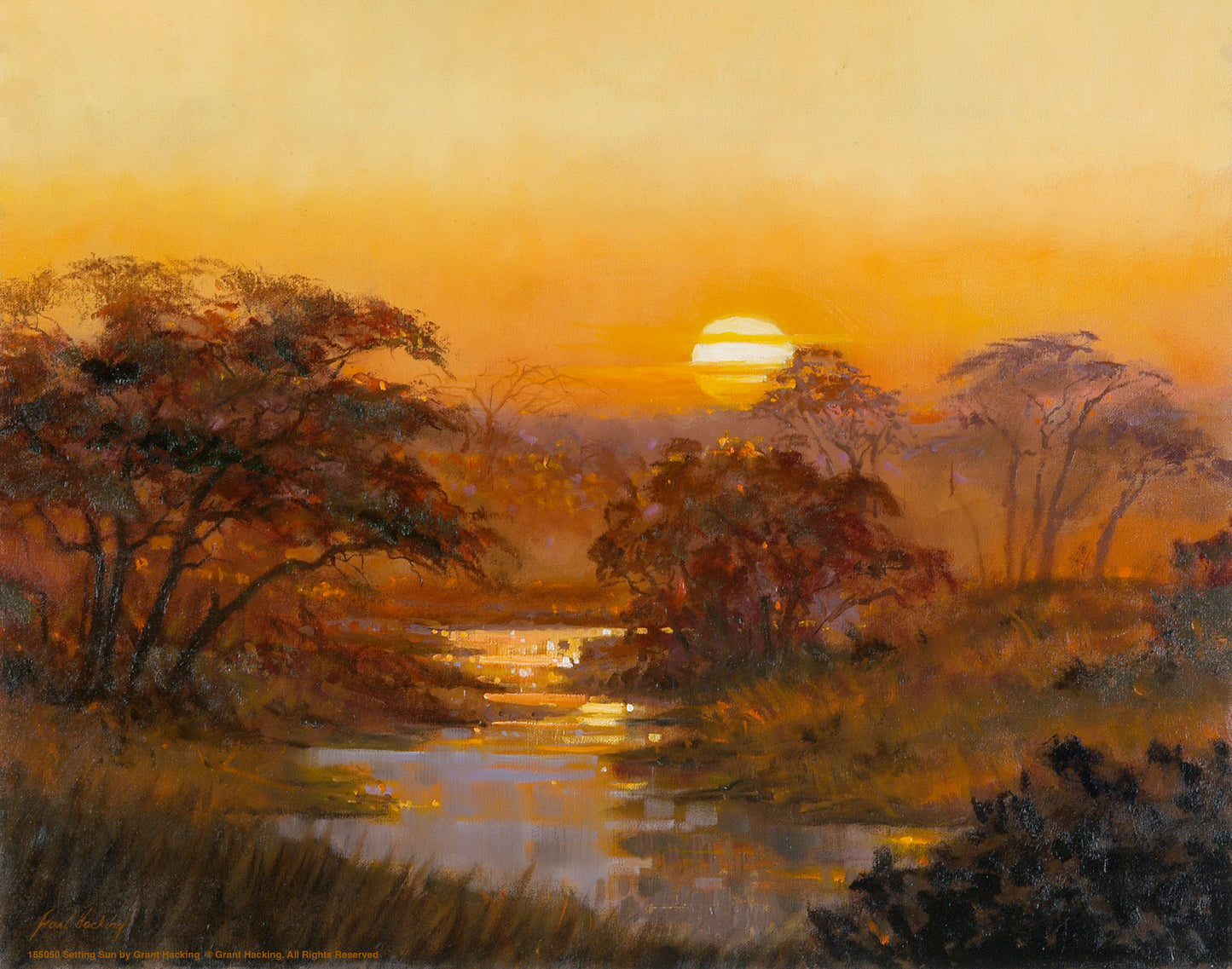 Setting Sun - Art Prints