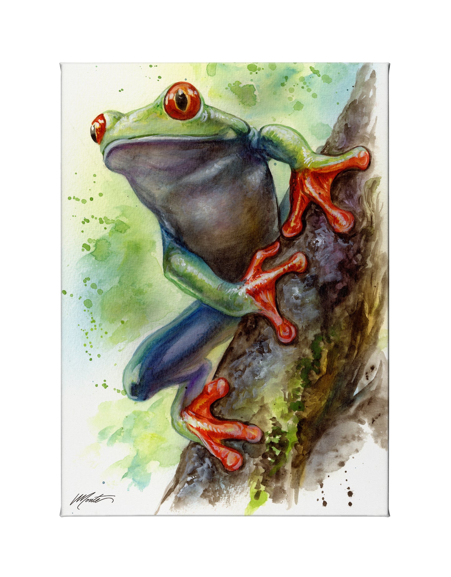 Just Hanging Around - 18" x 13" Gallery Wrapped Canvas