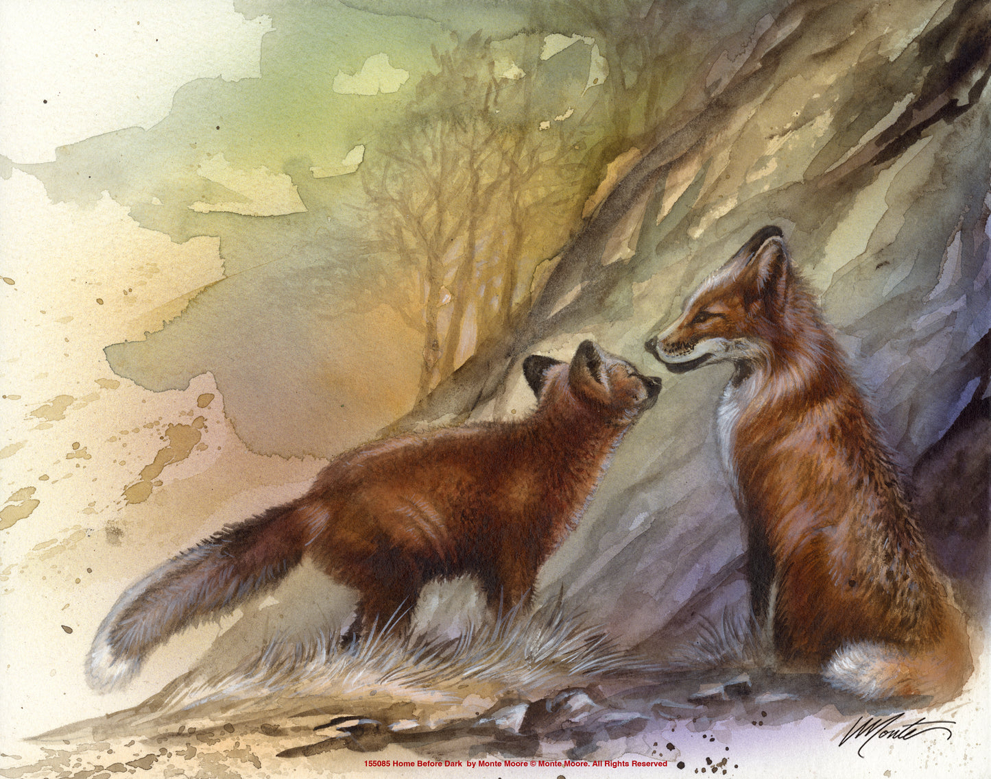 Home Before Dark - Art Prints