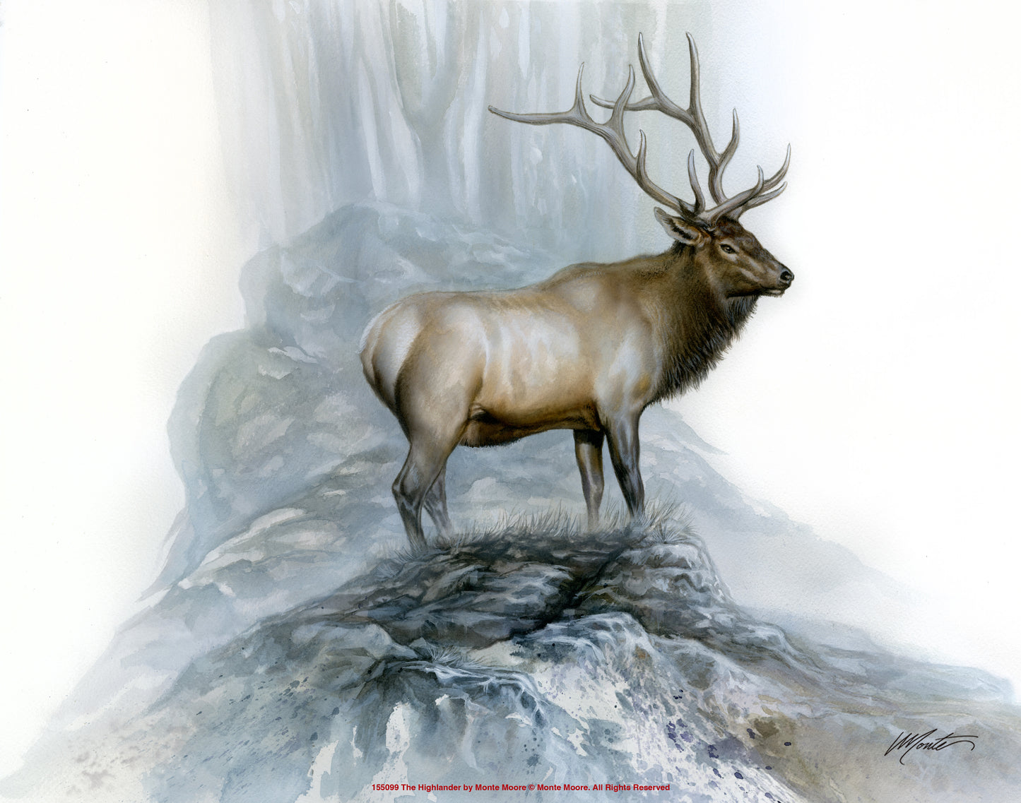 The Highlander - Art Prints