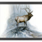 The Highlander - Art Prints