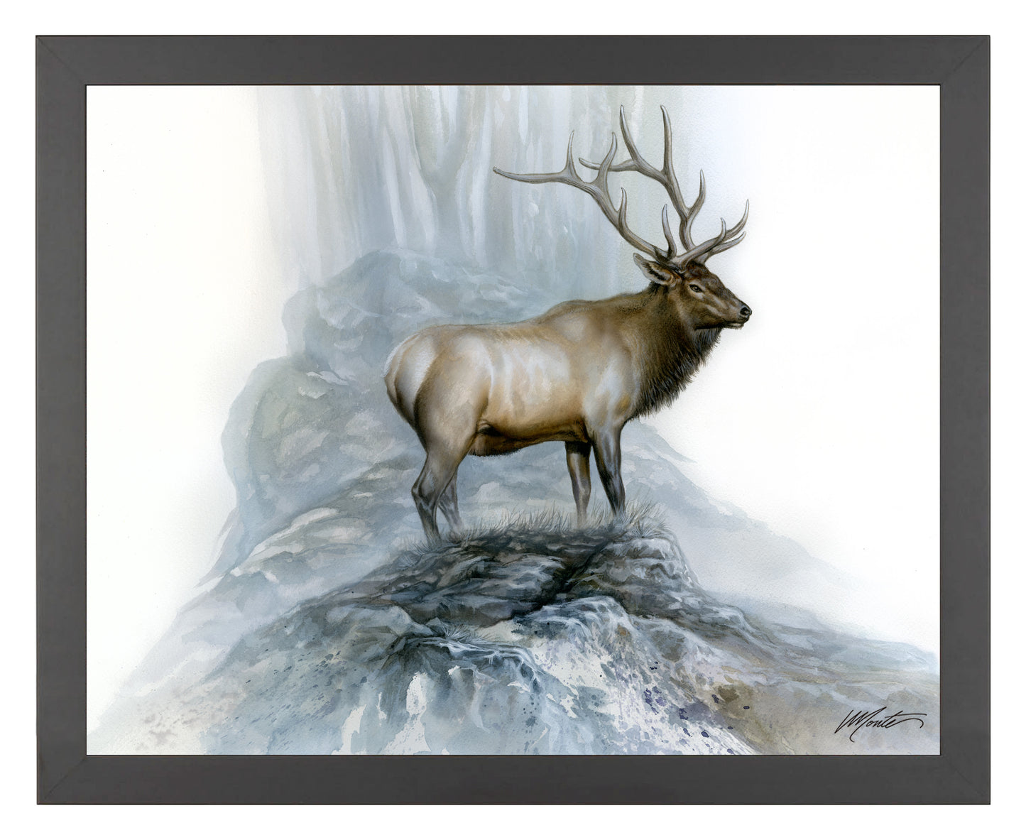 The Highlander - Art Prints