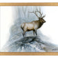 The Highlander - Art Prints