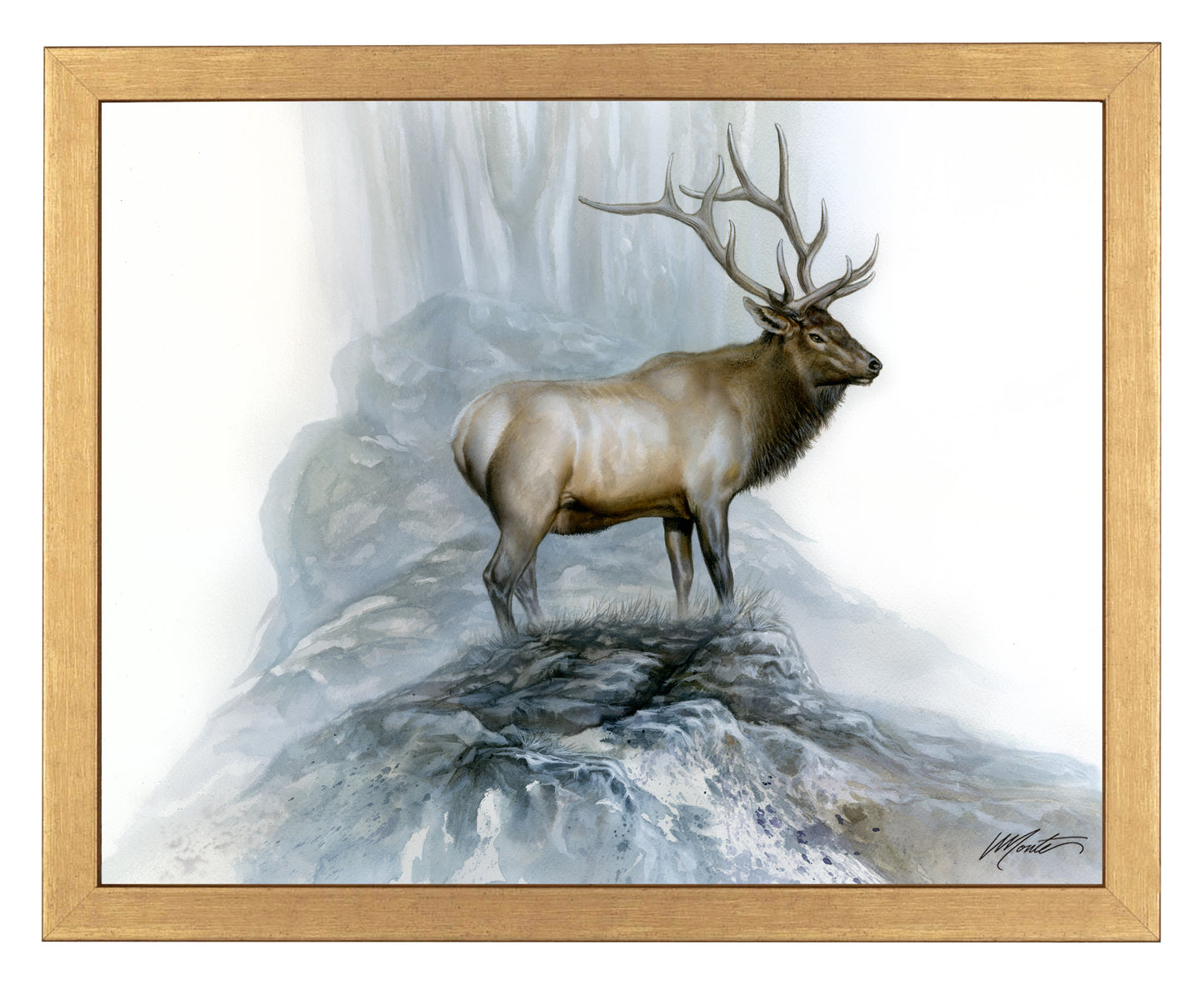The Highlander - Art Prints