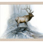 The Highlander - Art Prints
