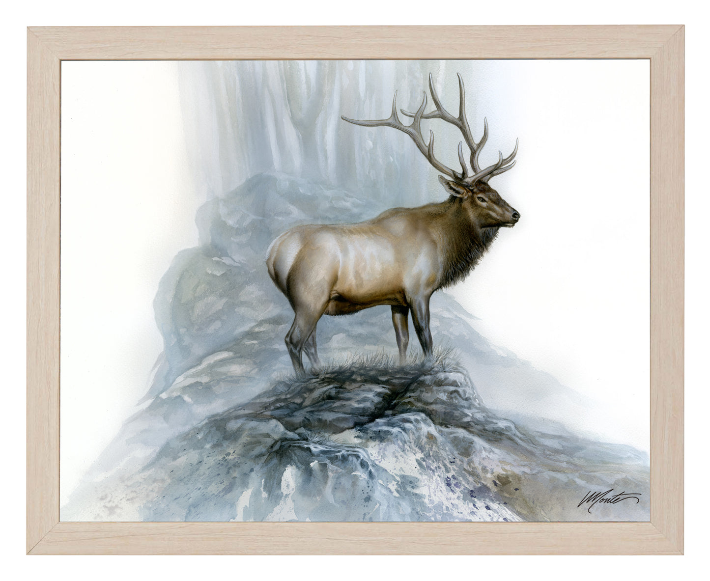 The Highlander - Art Prints
