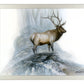 The Highlander - Art Prints