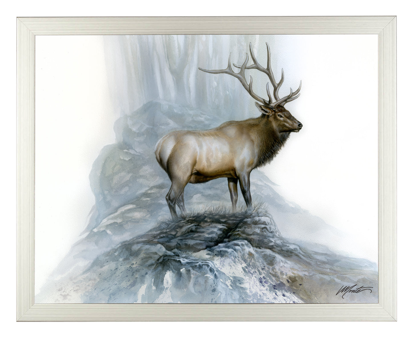 The Highlander - Art Prints