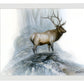 The Highlander - Art Prints