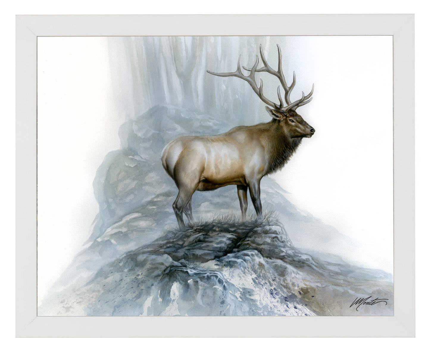 The Highlander - Art Prints