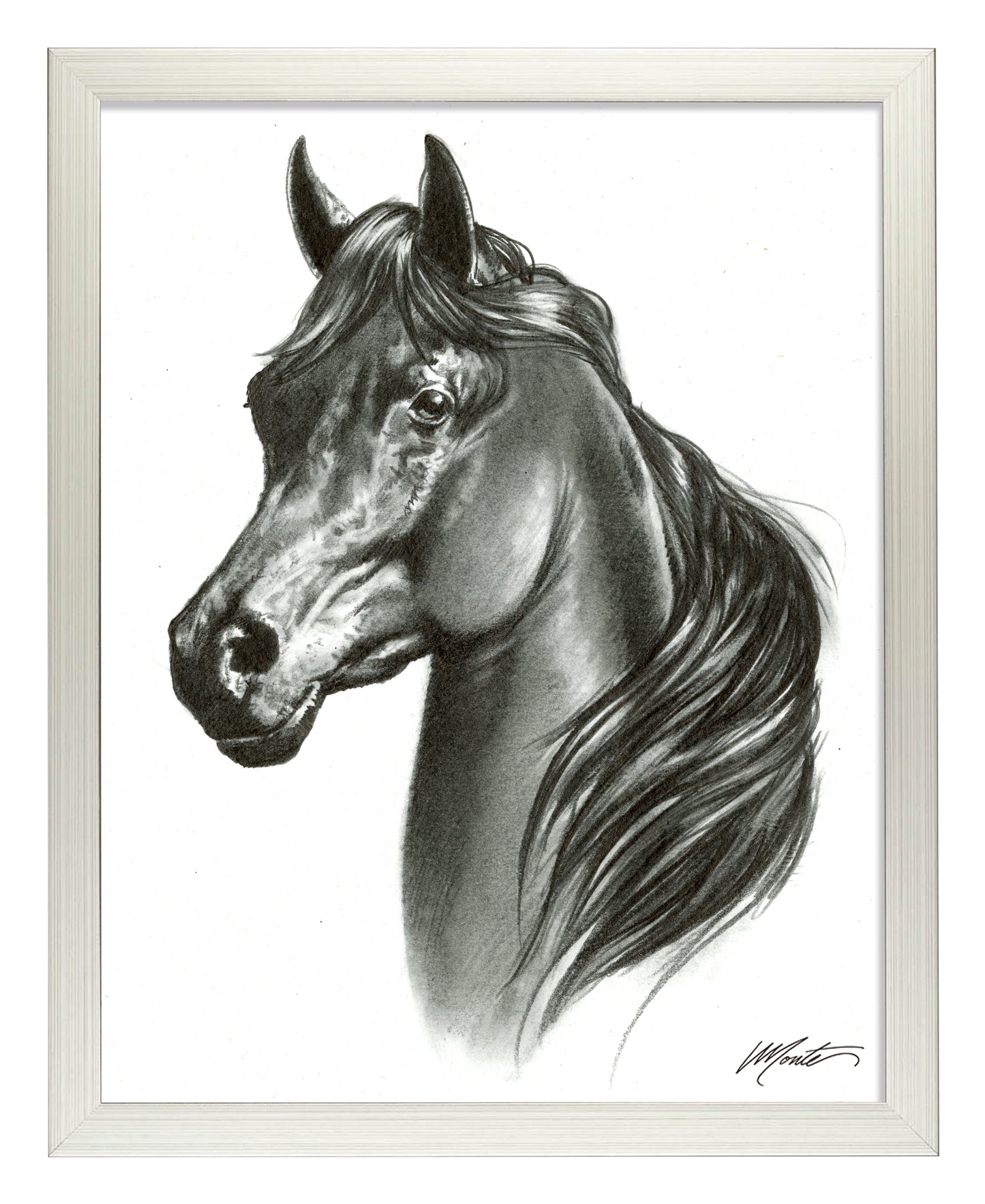 Black Beauty - Art Prints