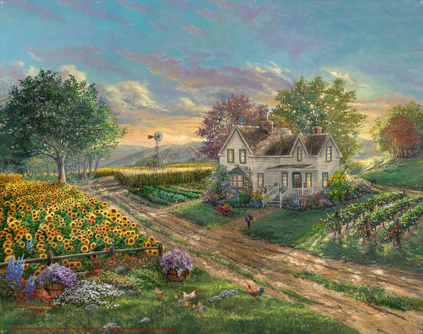 Sunflower Fields - Art Prints