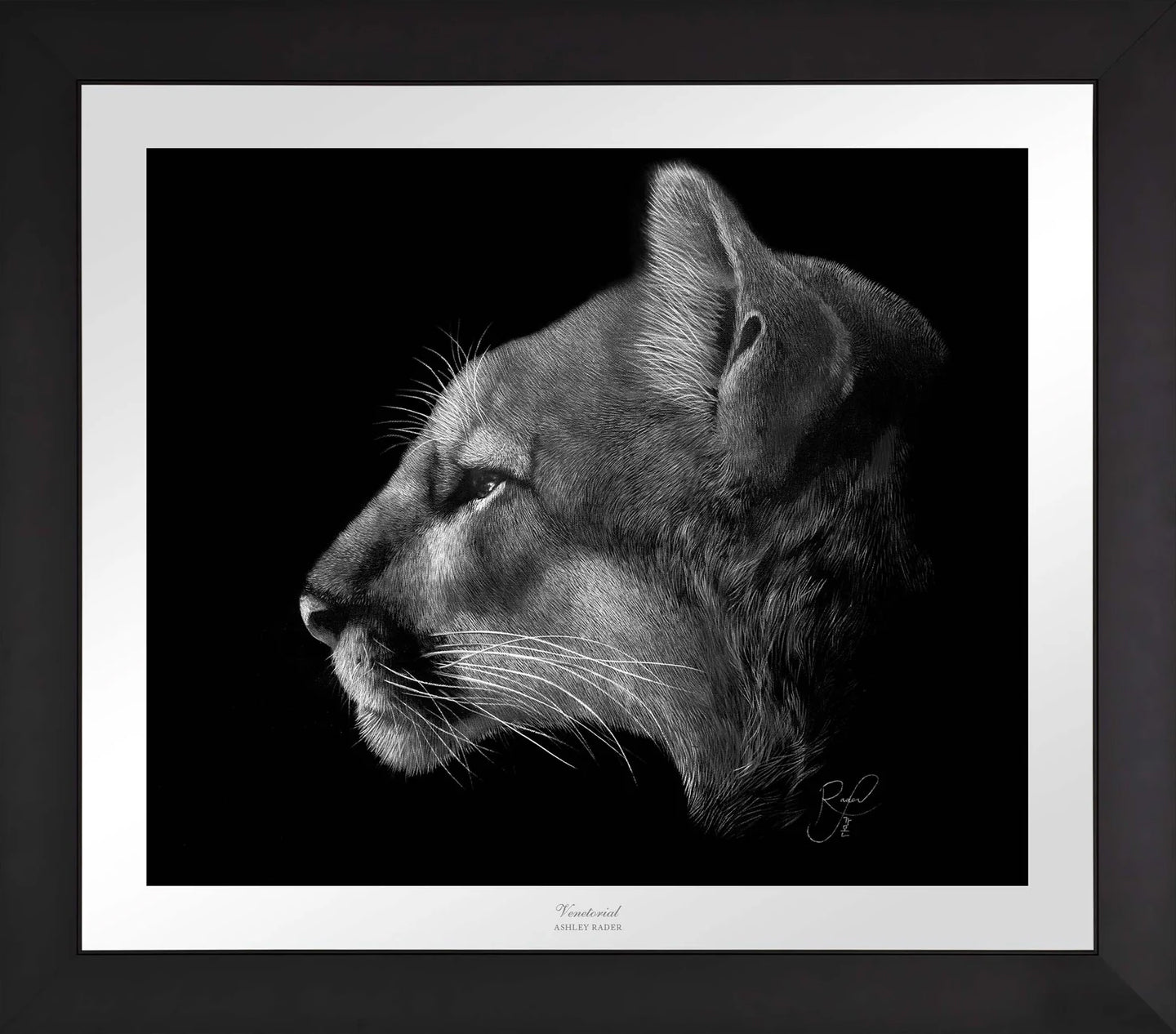 Venetorial - Limited Edition Paper